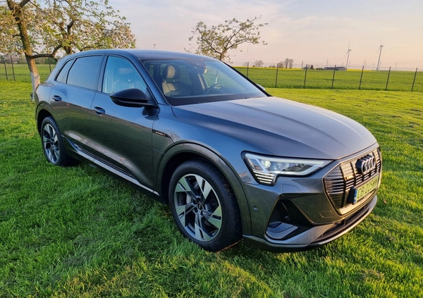 Audi e-tron cena 198500 przebieg: 90600, rok produkcji 2022 z Grudziądz małe 497